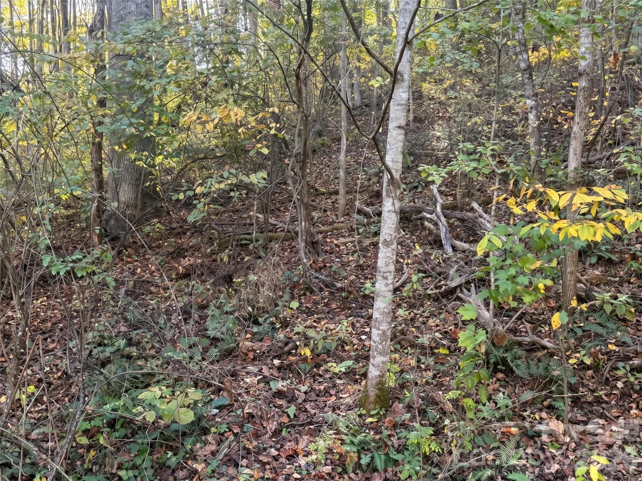 Lot at 205 Turn-A-Bout Court, Waynesville, photo 14 of 16