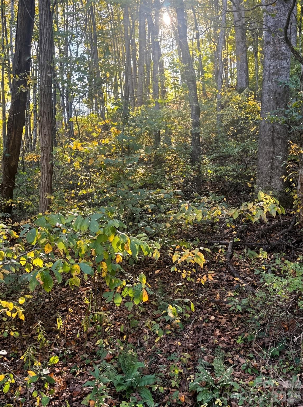 Lot at 205 Turn-A-Bout Court, Waynesville, photo 15 of 16