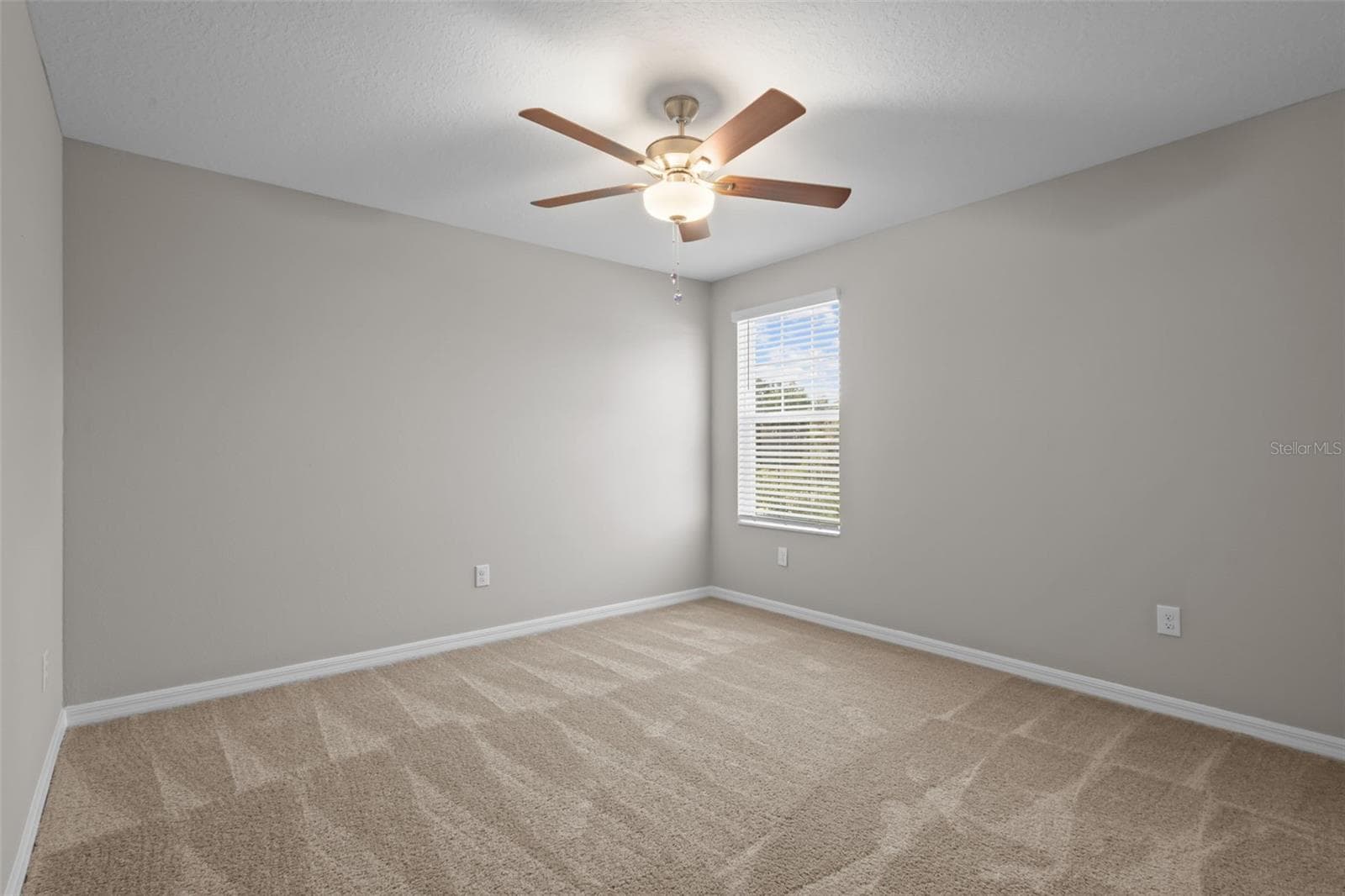 Bedroom 2 - 11069 FLOURISH DR, LAND O LAKES