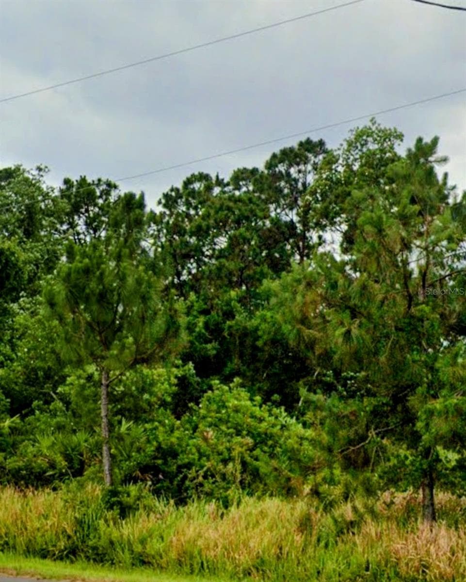 Land at 6715 BENEVENTO AVE, SEBRING, photo 2 of 4
