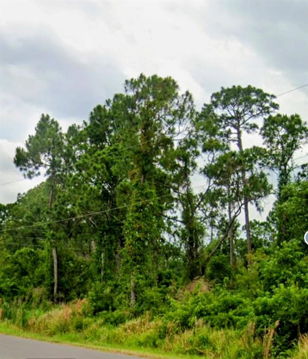 Land at 6715 BENEVENTO AVE, SEBRING, photo 3 of 4