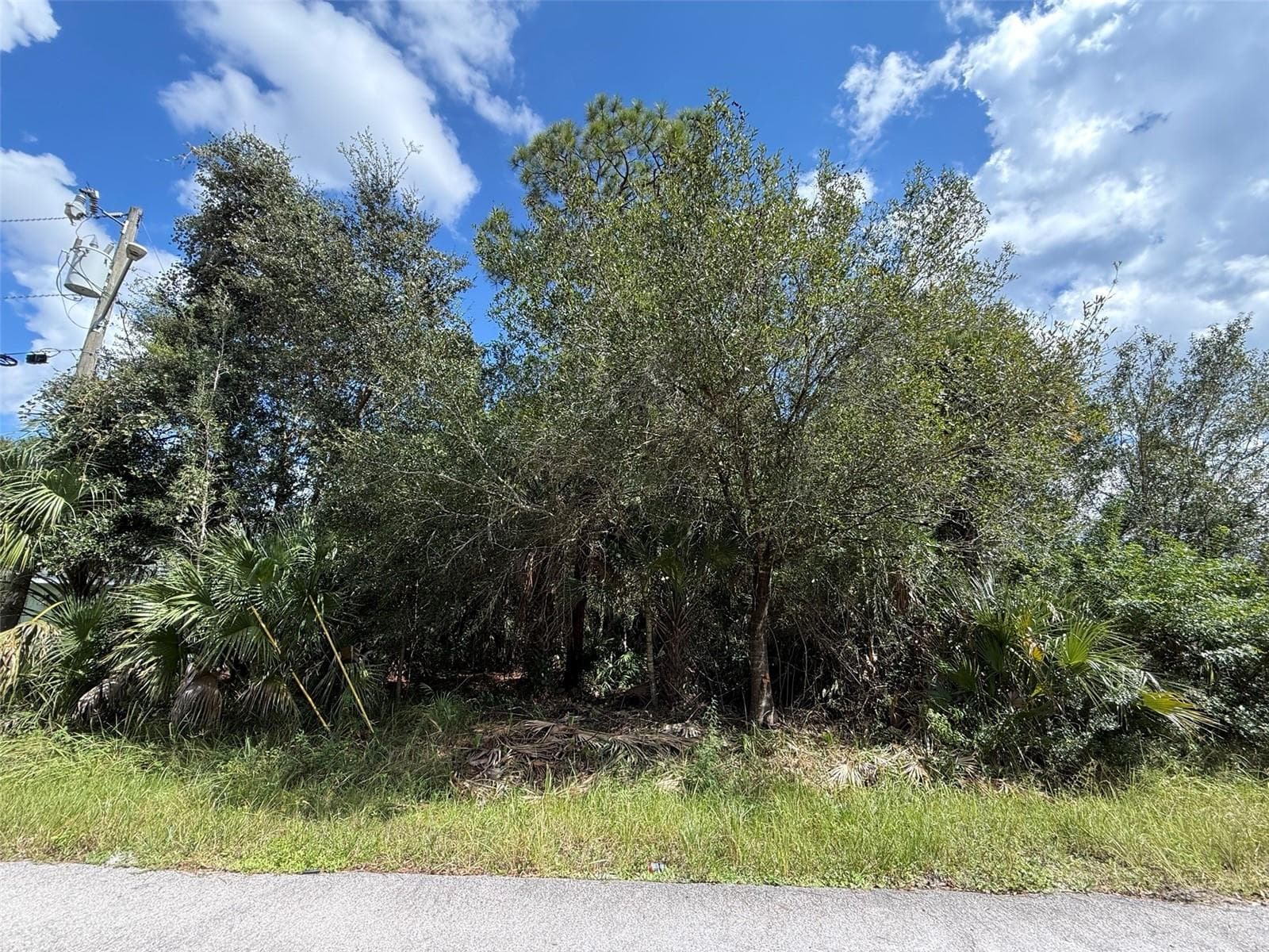 Land at 6000 VERA AVE N, LEHIGH ACRES, photo 2 of 9