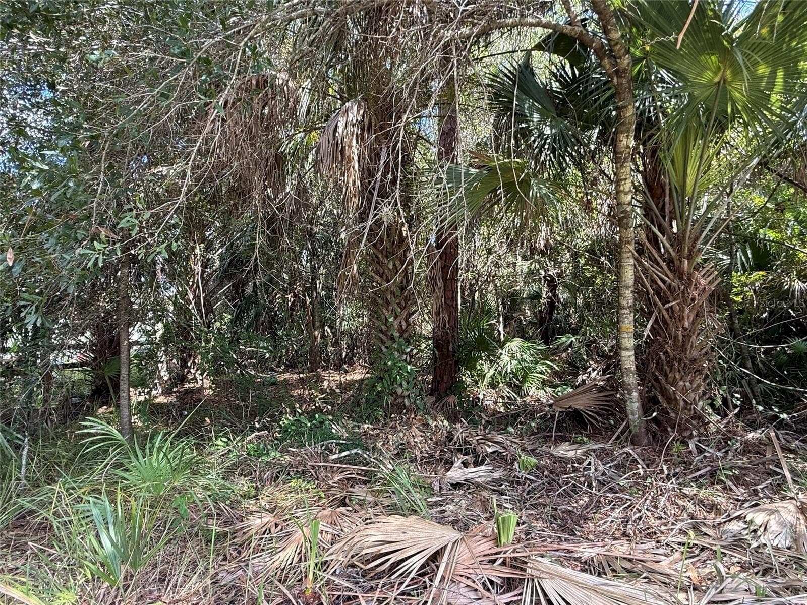 Land at 6000 VERA AVE N, LEHIGH ACRES, photo 9 of 9