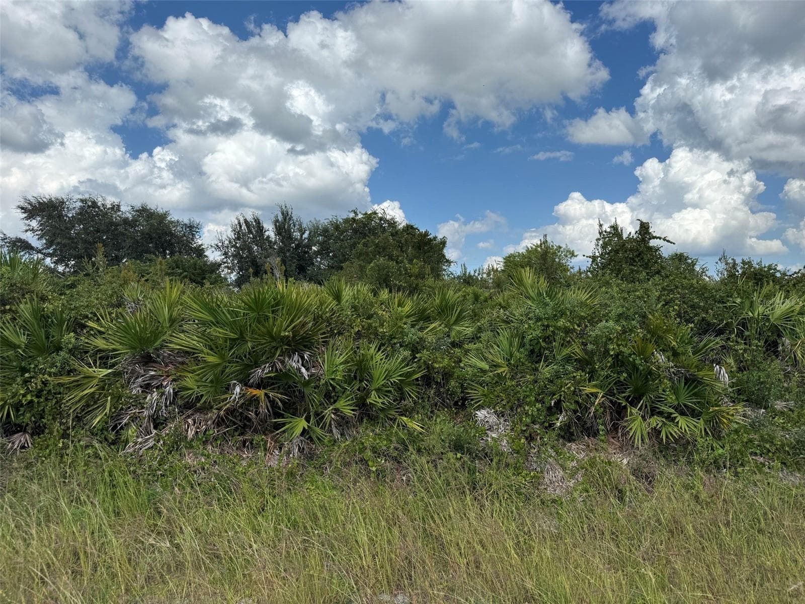 Land at 2814 63RD ST W, LEHIGH ACRES, photo 3 of 7