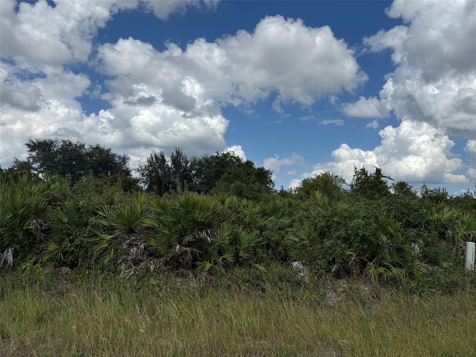 Land at 2814 63RD ST W, LEHIGH ACRES, photo 6 of 7