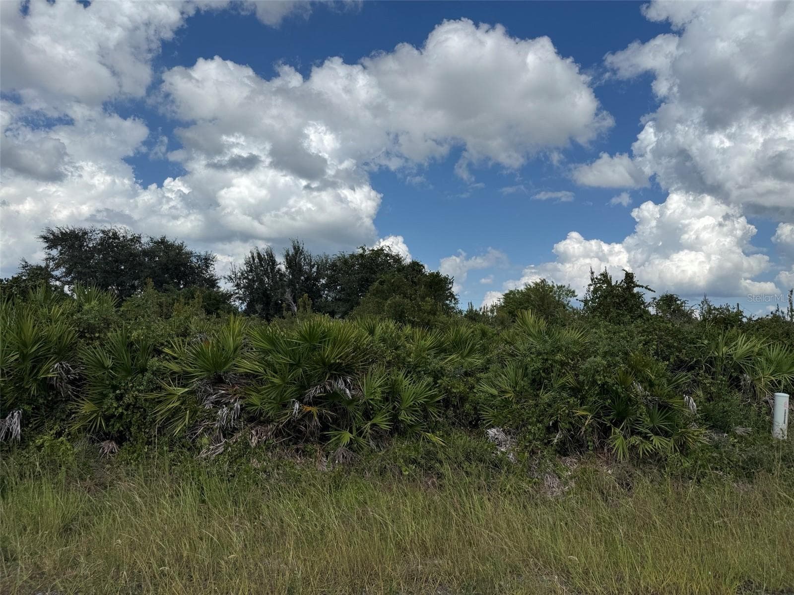 Land at 2814 63RD ST W, LEHIGH ACRES, photo 7 of 7
