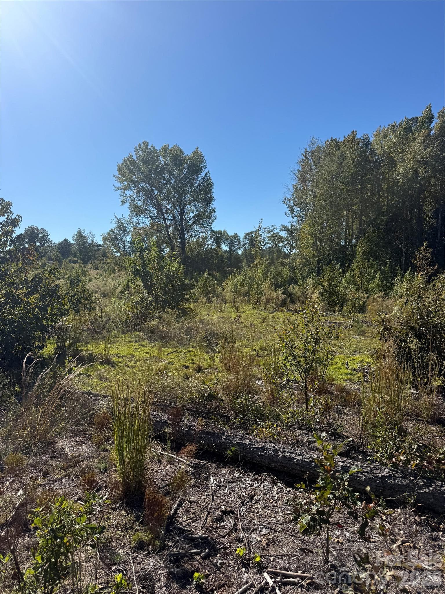 Acreage at TBD Rock House Road, Mount Croghan, photo 2 of 5