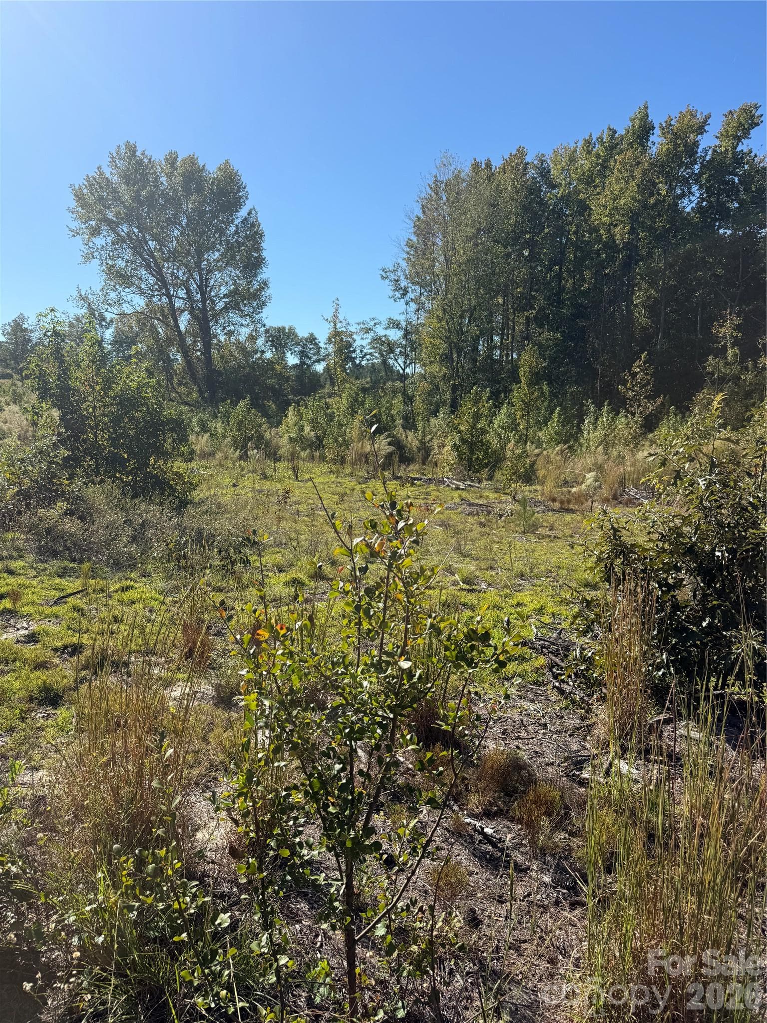 Acreage at TBD Rock House Road, Mount Croghan, photo 4 of 5