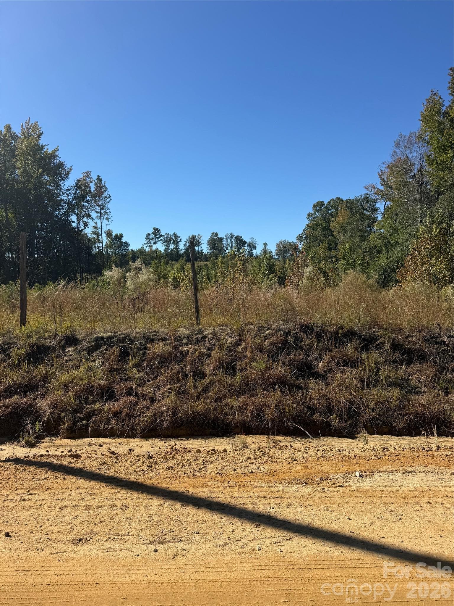 Acreage at TBD Rock House Road, Mount Croghan, photo 5 of 5