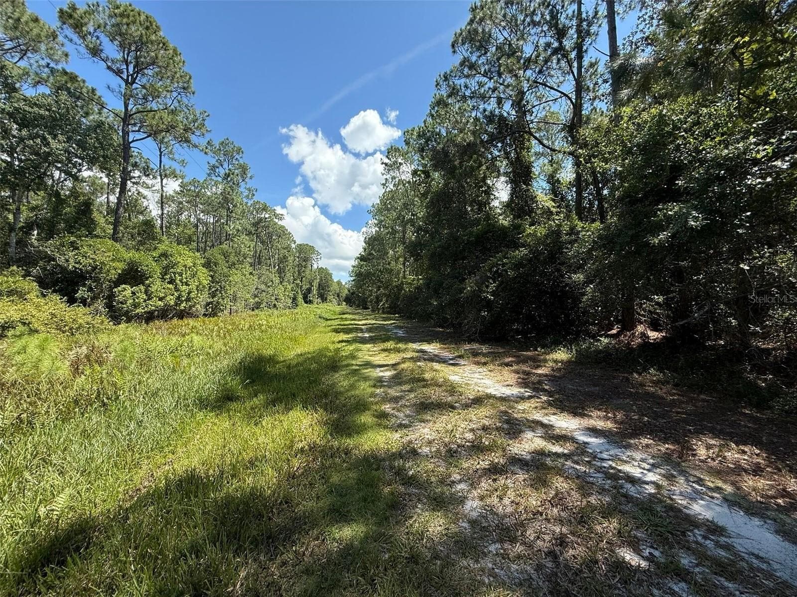 Land at 210 SE 2ND ST, GEORGETOWN, photo 2 of 5