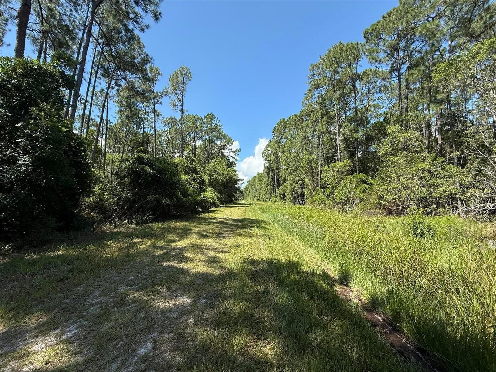Land at 210 SE 2ND ST, GEORGETOWN, photo 3 of 5