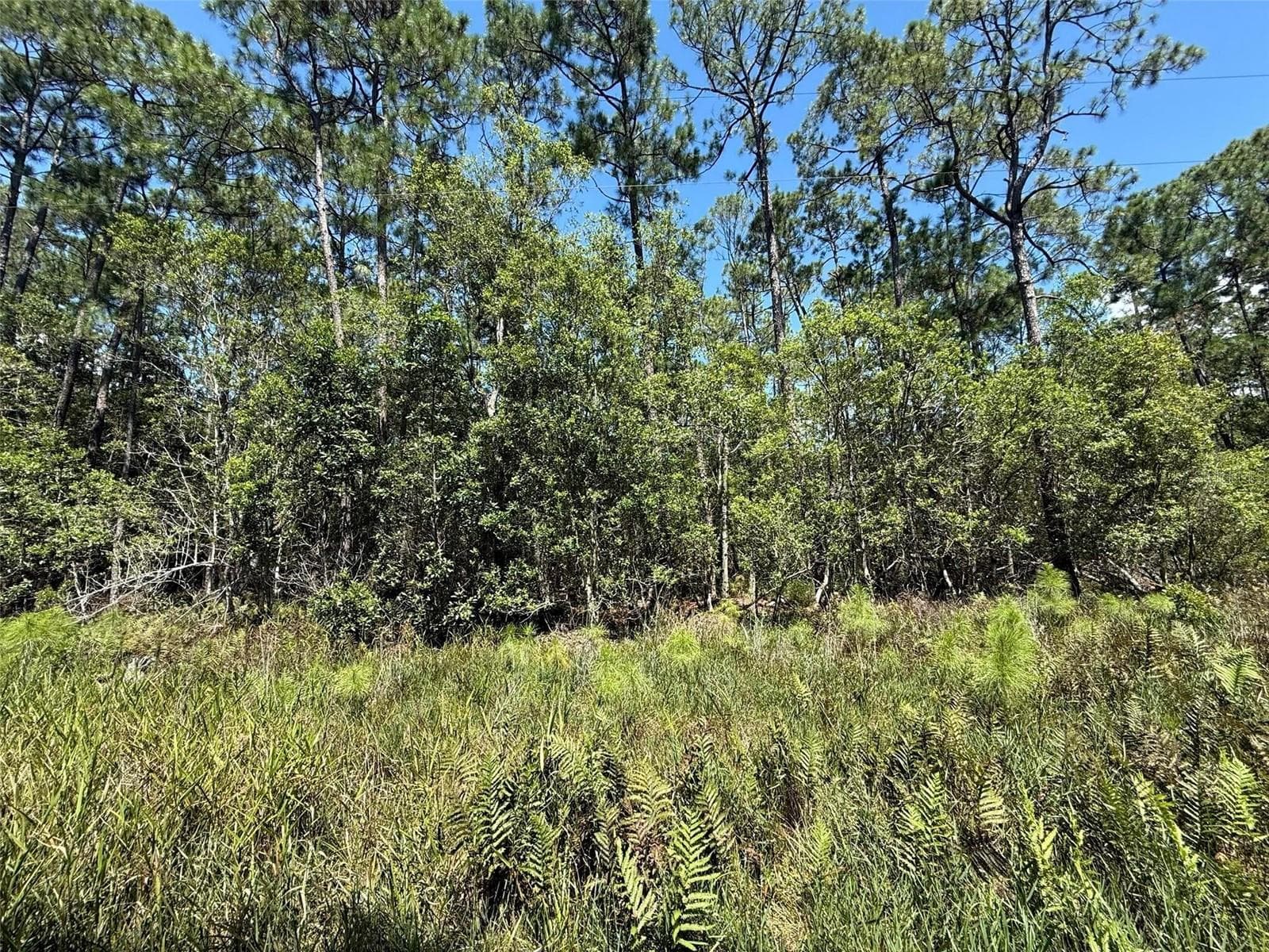 Land at 210 SE 2ND ST, GEORGETOWN, photo 4 of 5