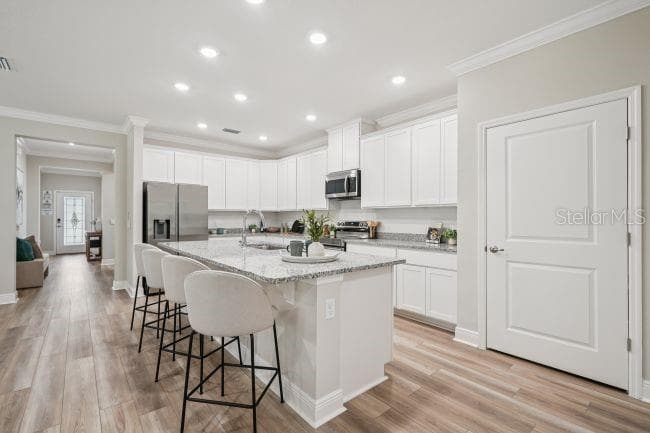 Model home - actual features may vary. - 3422 MONARCH WAY, GREEN COVE SPRINGS