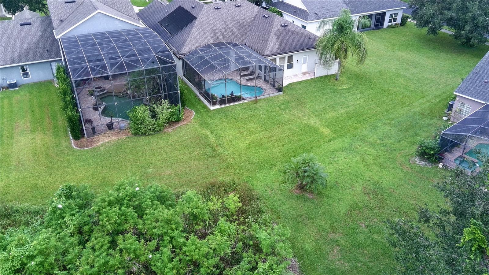 back yard with a view of conservation area - 14038 EDEN ISLE BLVD, WINDERMERE