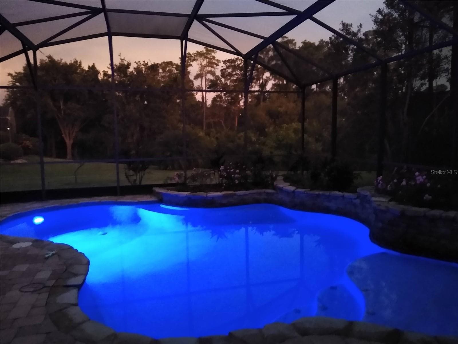 pool at night - 14038 EDEN ISLE BLVD, WINDERMERE