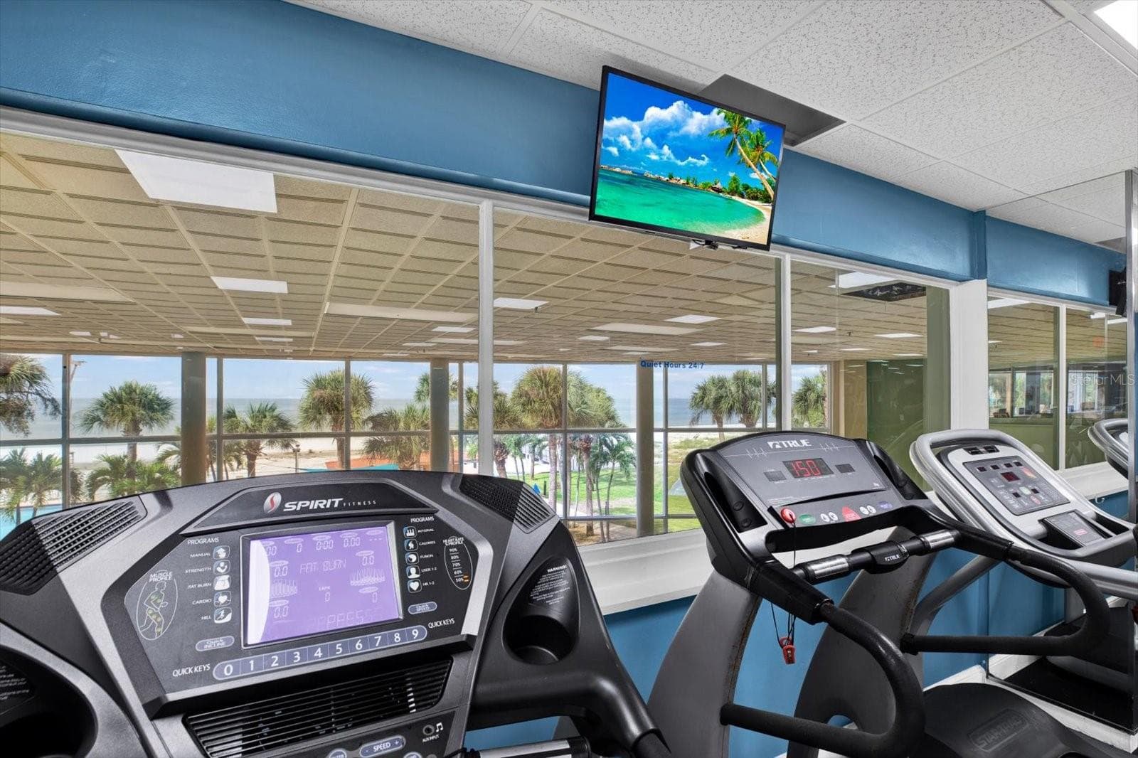 Think about it – have you ever had a gym that lets you watch dolphins while you exercise? - 880 MANDALAY AVE #C512, CLEARWATER BEACH