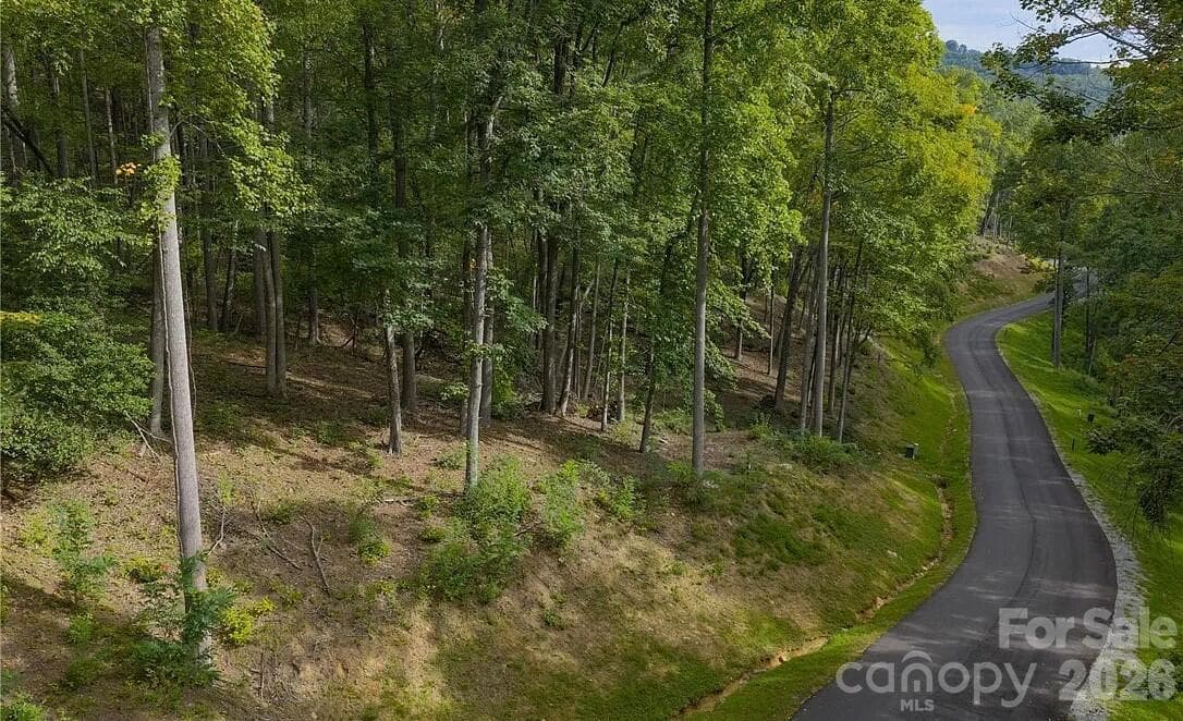 Lot at 49 Wildcat Wilderness Parkway, Deep Gap, photo 3 of 12