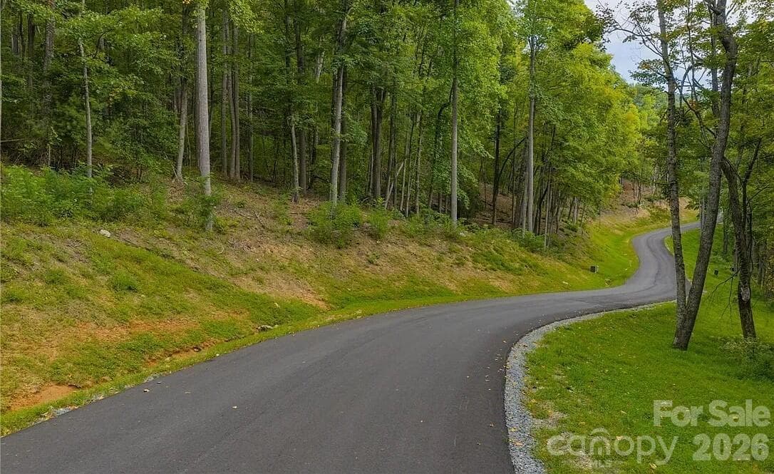 Lot at 49 Wildcat Wilderness Parkway, Deep Gap, photo 4 of 12