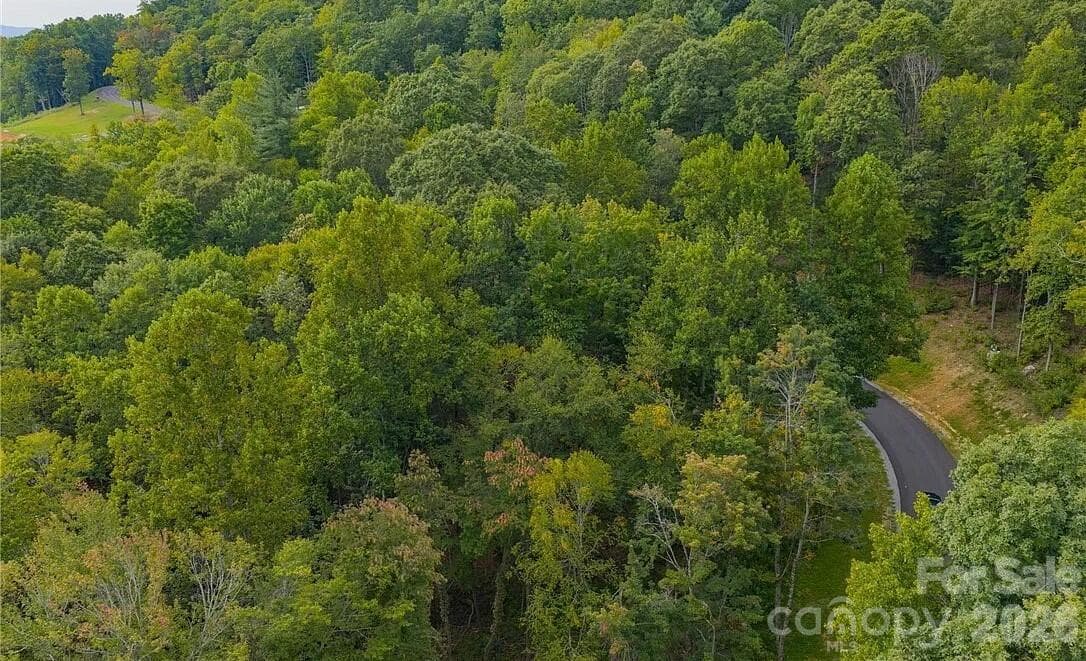 Lot at 49 Wildcat Wilderness Parkway, Deep Gap, photo 5 of 12