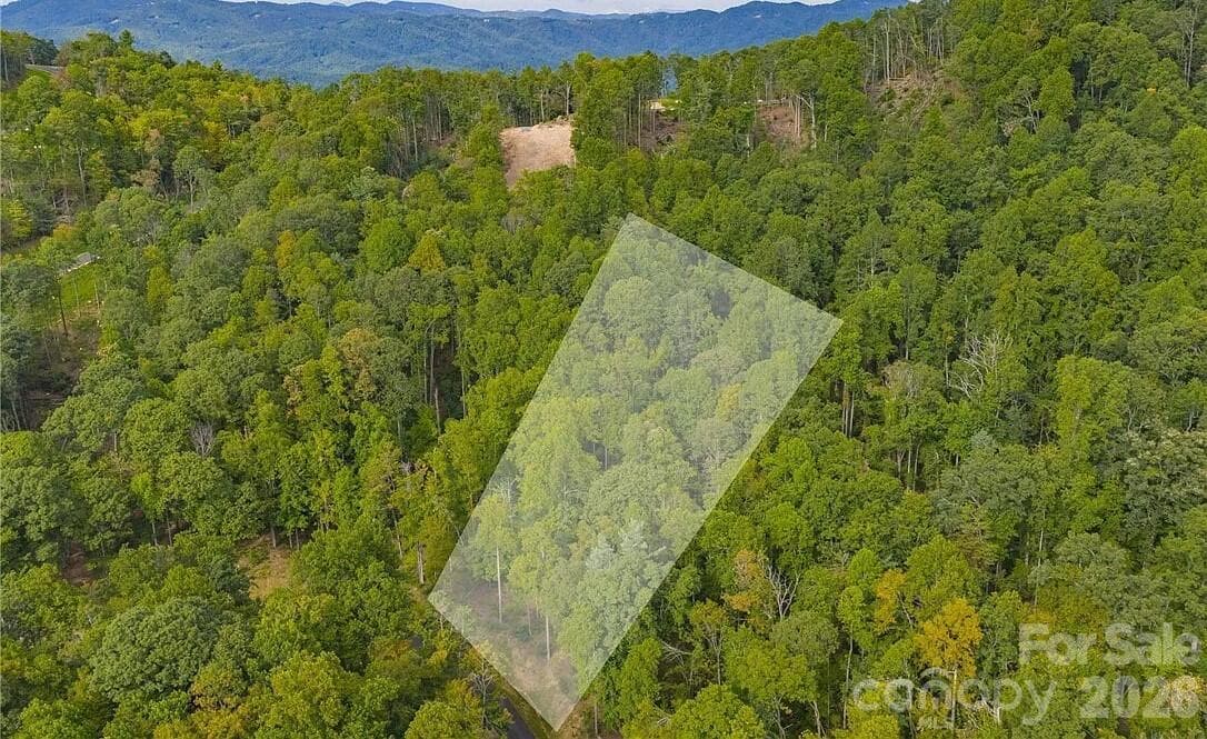 Virtually Staged - 49 Wildcat Wilderness Parkway, Deep Gap