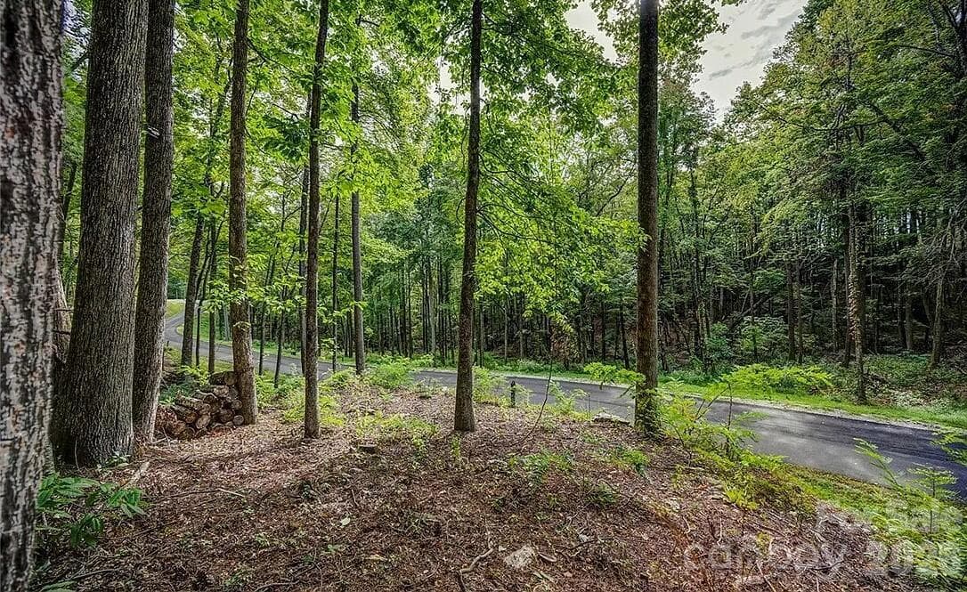 Lot at 49 Wildcat Wilderness Parkway, Deep Gap, photo 8 of 12