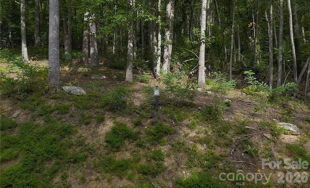 Lot at 49 Wildcat Wilderness Parkway, Deep Gap, photo 10 of 12