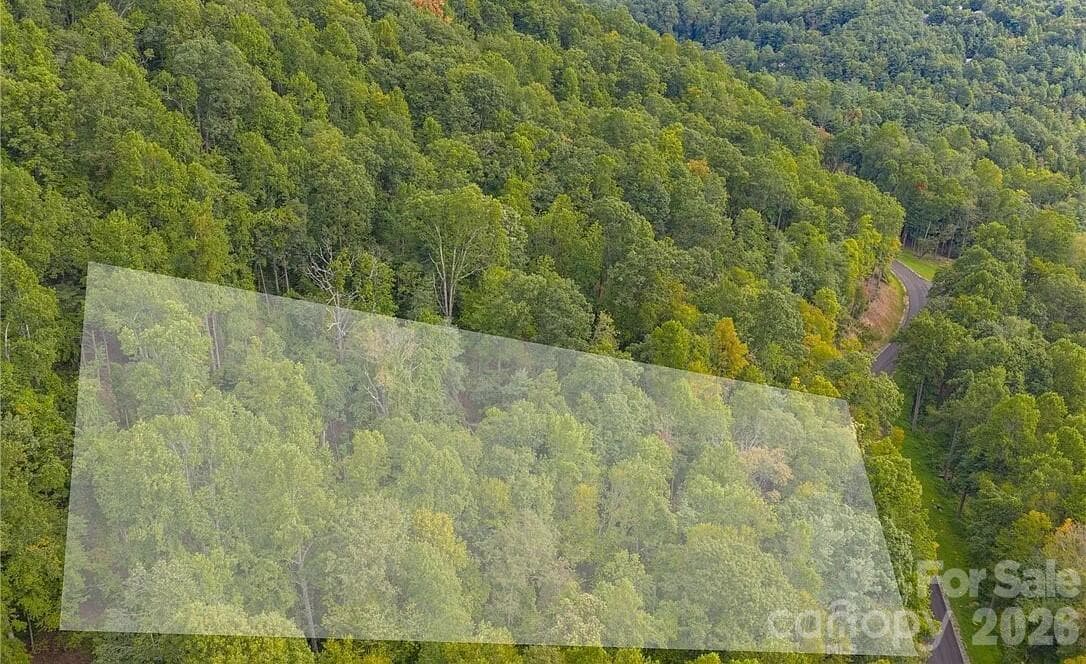 Virtually Staged - 49 Wildcat Wilderness Parkway, Deep Gap