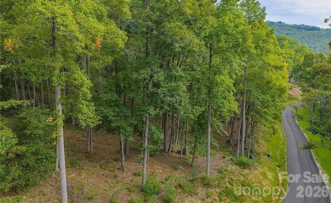 Lot at 49 Wildcat Wilderness Parkway, Deep Gap, photo 12 of 12