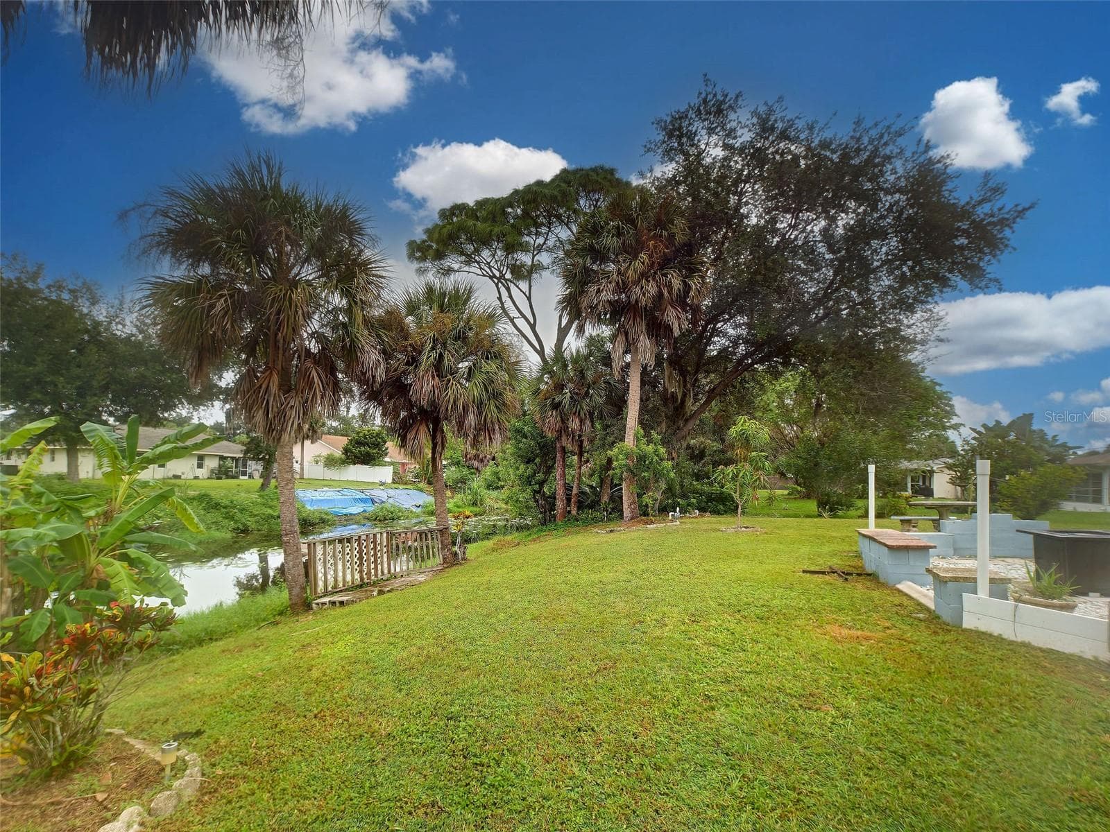 Backyard - 397 DORCHESTER ST, PORT CHARLOTTE