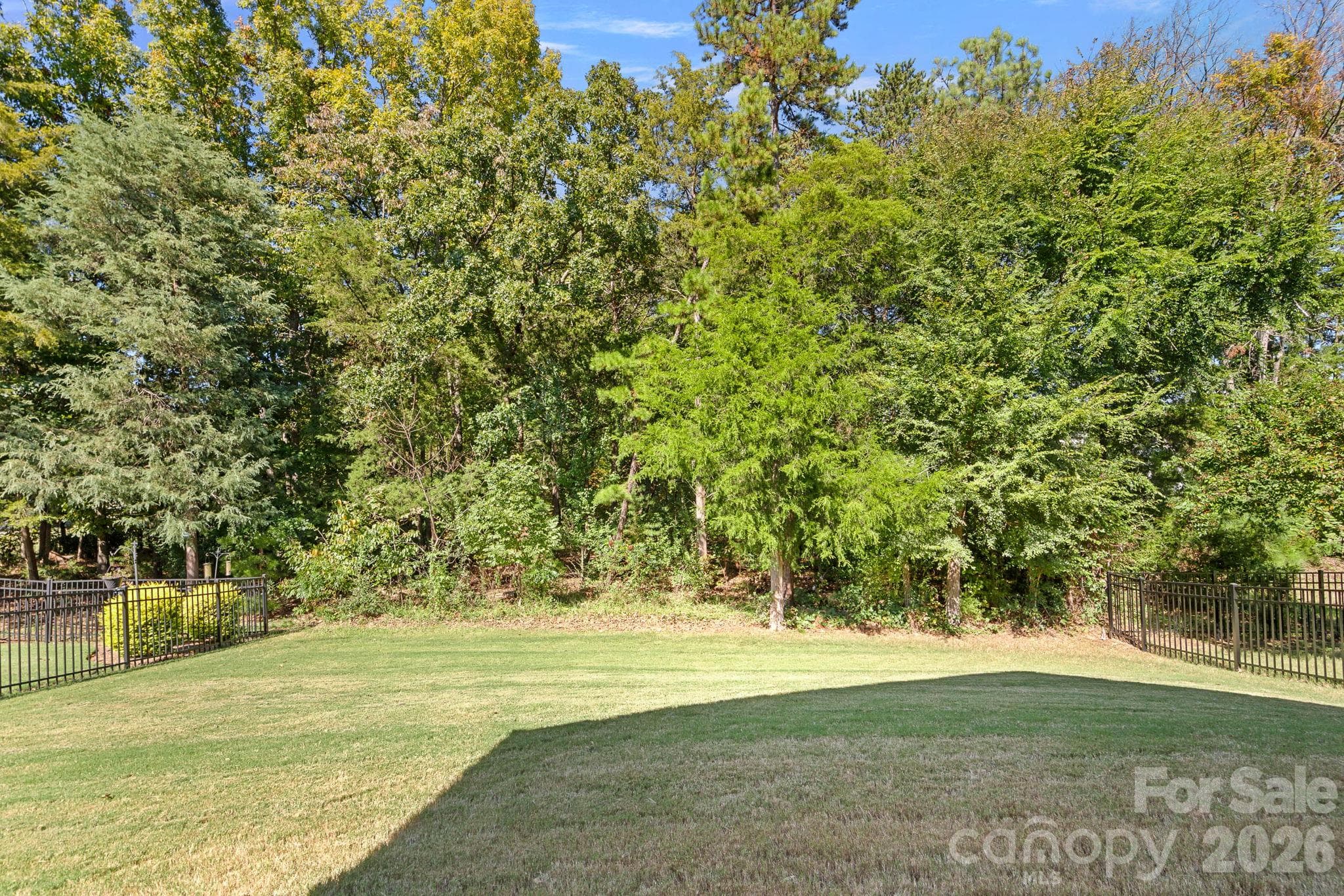 View from porch of the protected natural area - 11237 Black Brant Lane, Charlotte