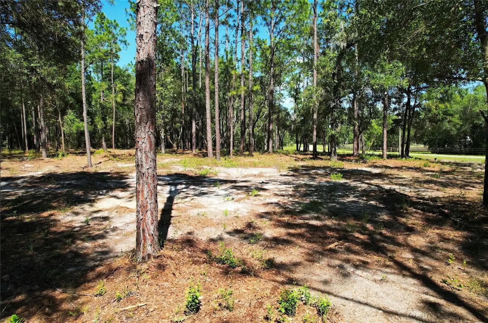 Land at SE COUNTY ROAD 337, MORRISTON, photo 2 of 8