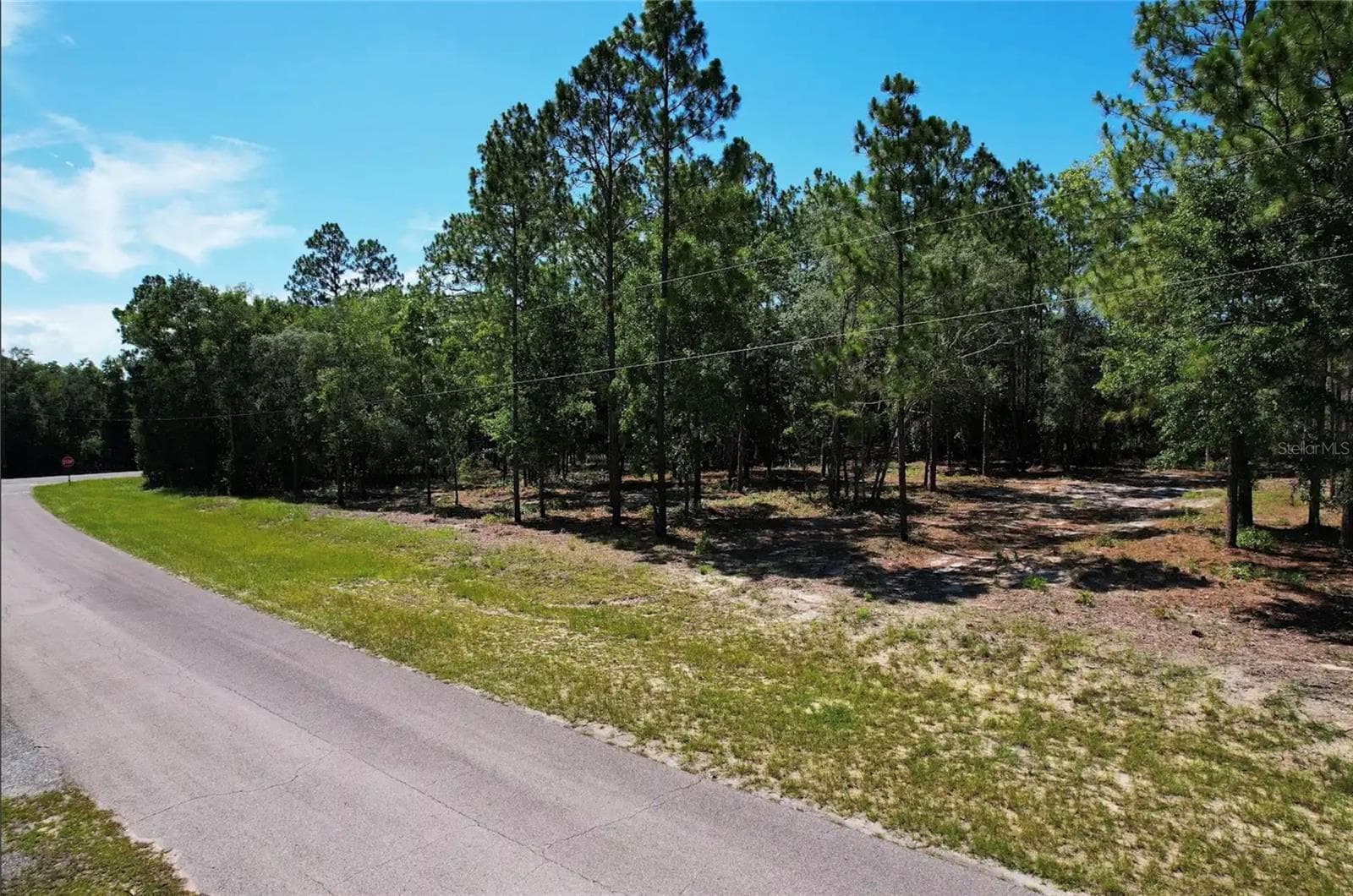 Land at SE COUNTY ROAD 337, MORRISTON, photo 4 of 8