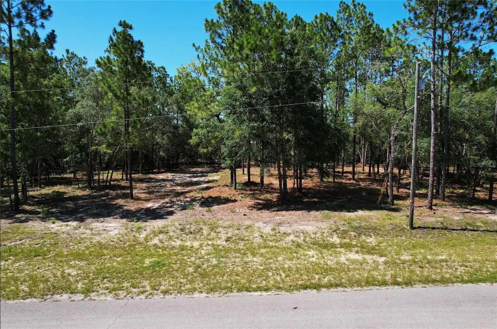 Land at SE COUNTY ROAD 337, MORRISTON, photo 5 of 8
