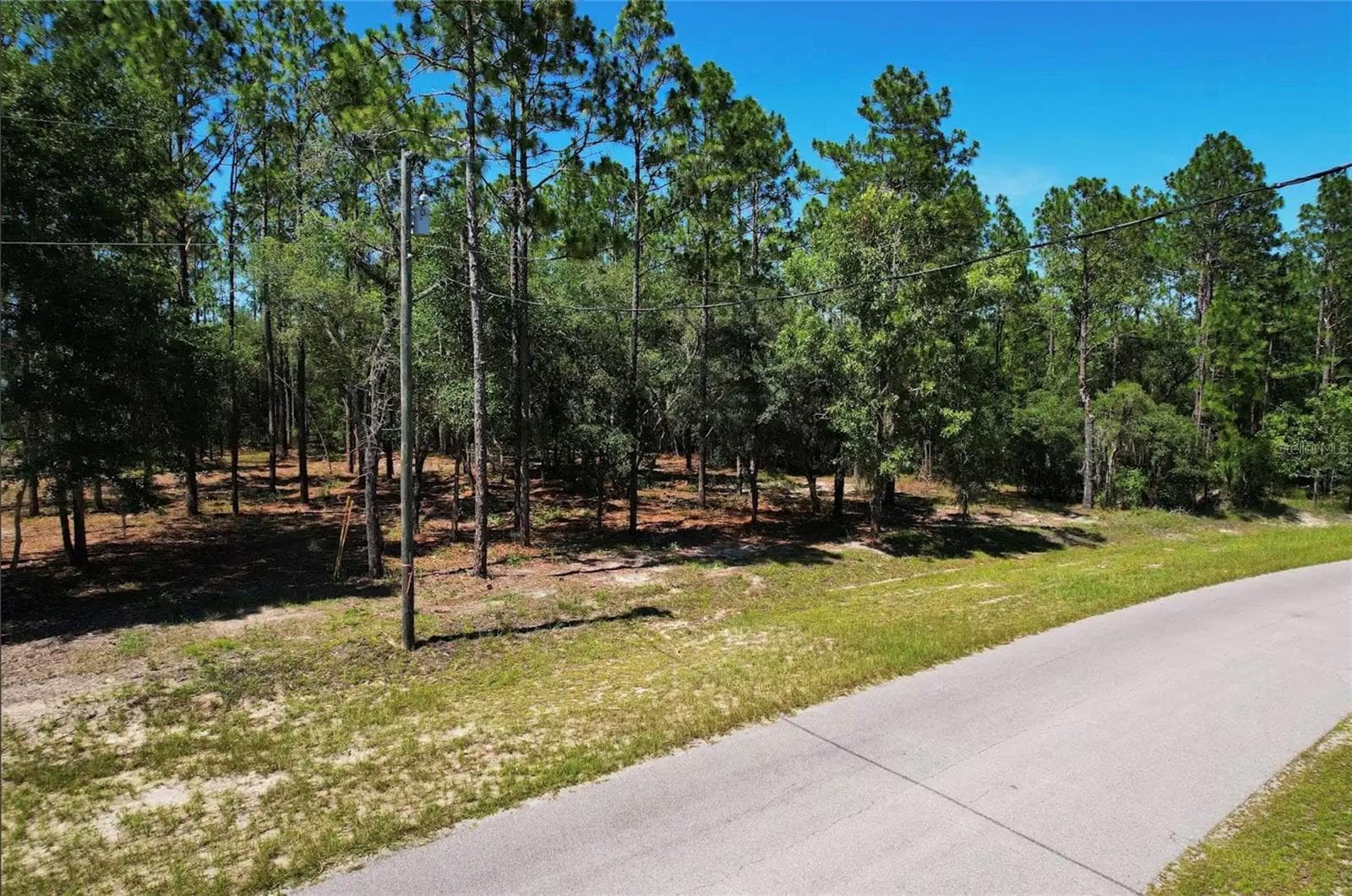 Land at SE COUNTY ROAD 337, MORRISTON, photo 7 of 8