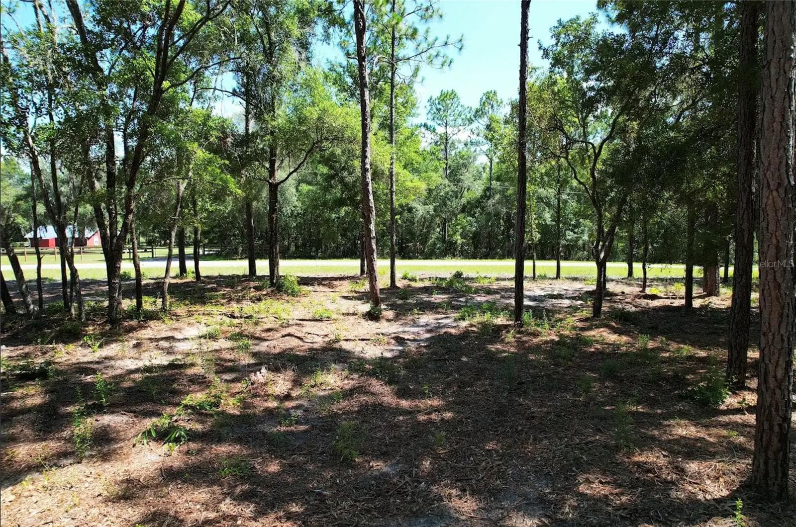 Land at SE COUNTY ROAD 337, MORRISTON, photo 8 of 8