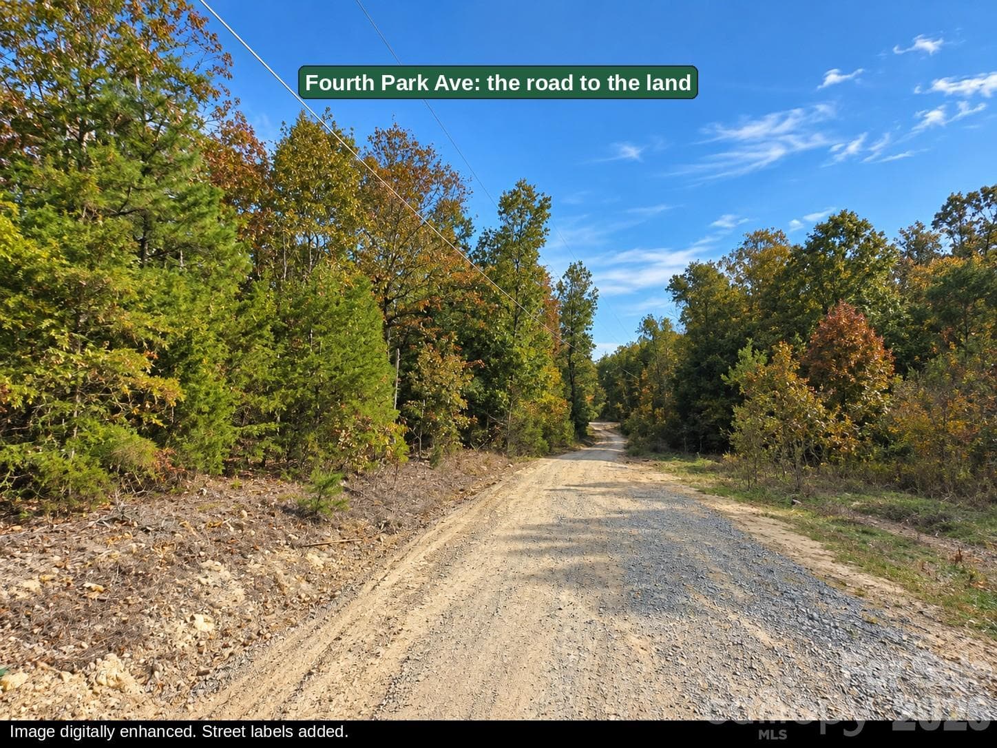 Fourth Park Ave, the dirt road leading to the land through fall woods in Randolph County NC. Image digitally enhanced. - 00-00 Fourth Park, Randleman