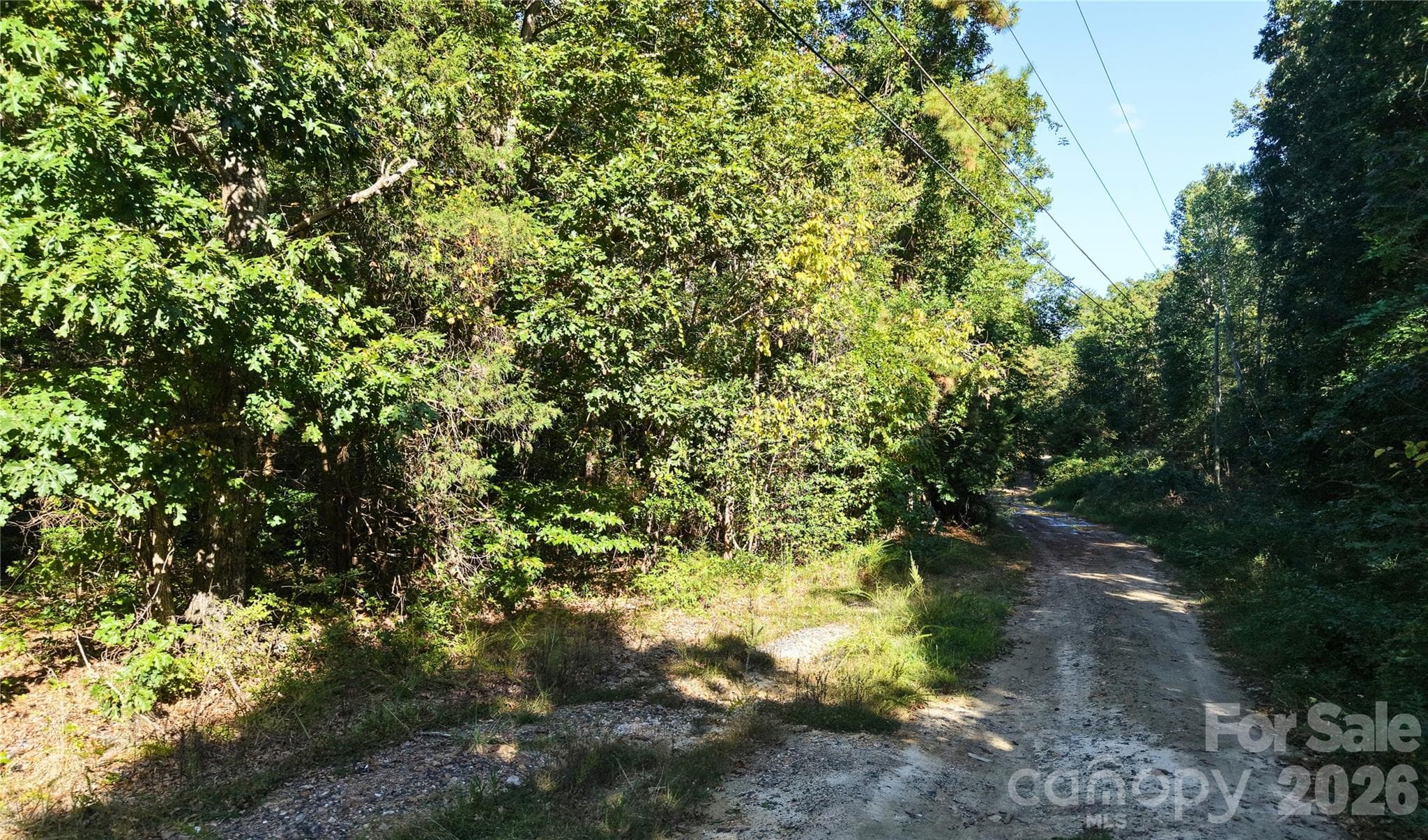 Ground view of the dirt section of Fourth Park Ave beside the wooded land in Forest Park, Randolph County NC. - 00-00 Fourth Park, Randleman
