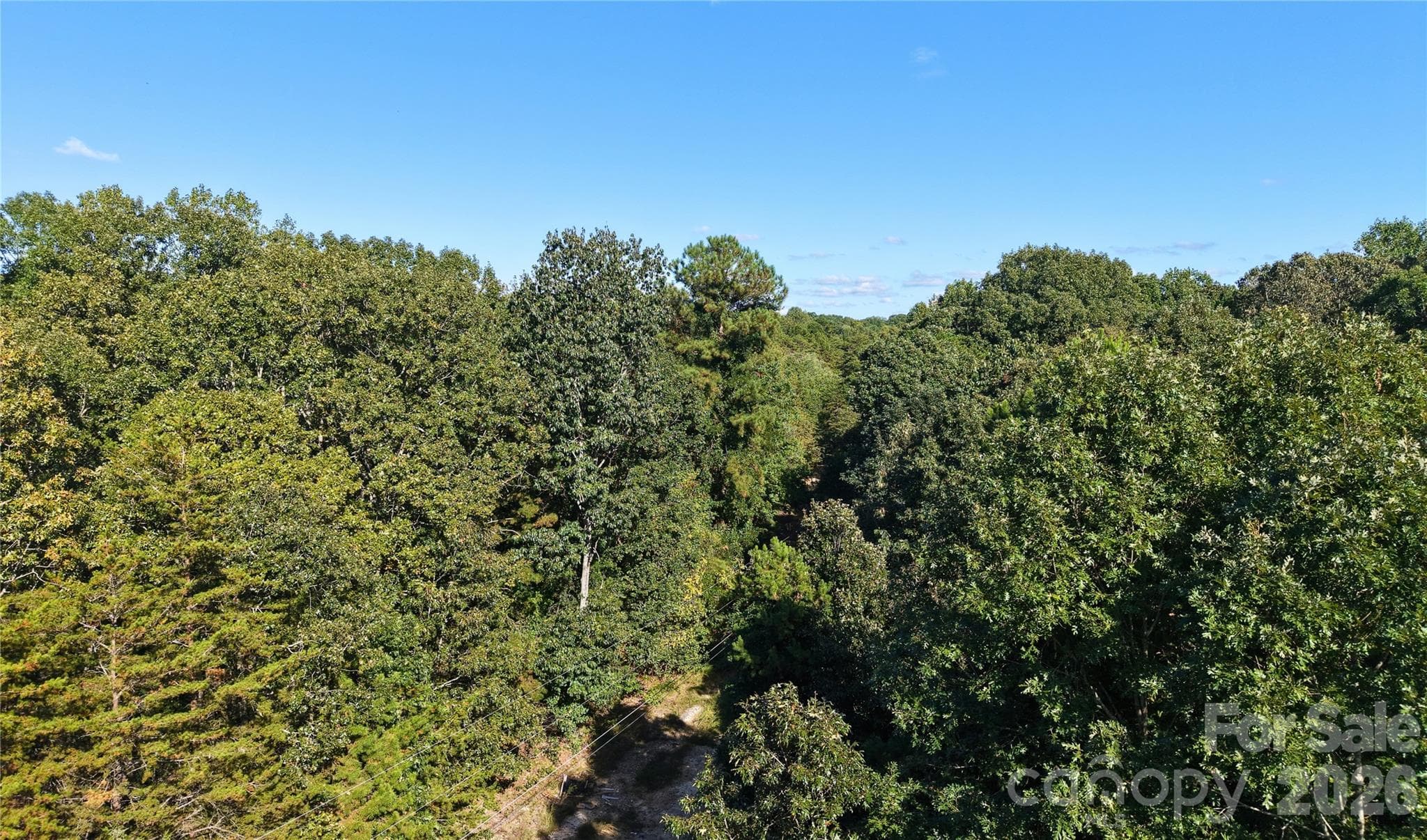 Low drone view across the mature tree canopy of the wooded land near Randleman NC. - 00-00 Fourth Park, Randleman