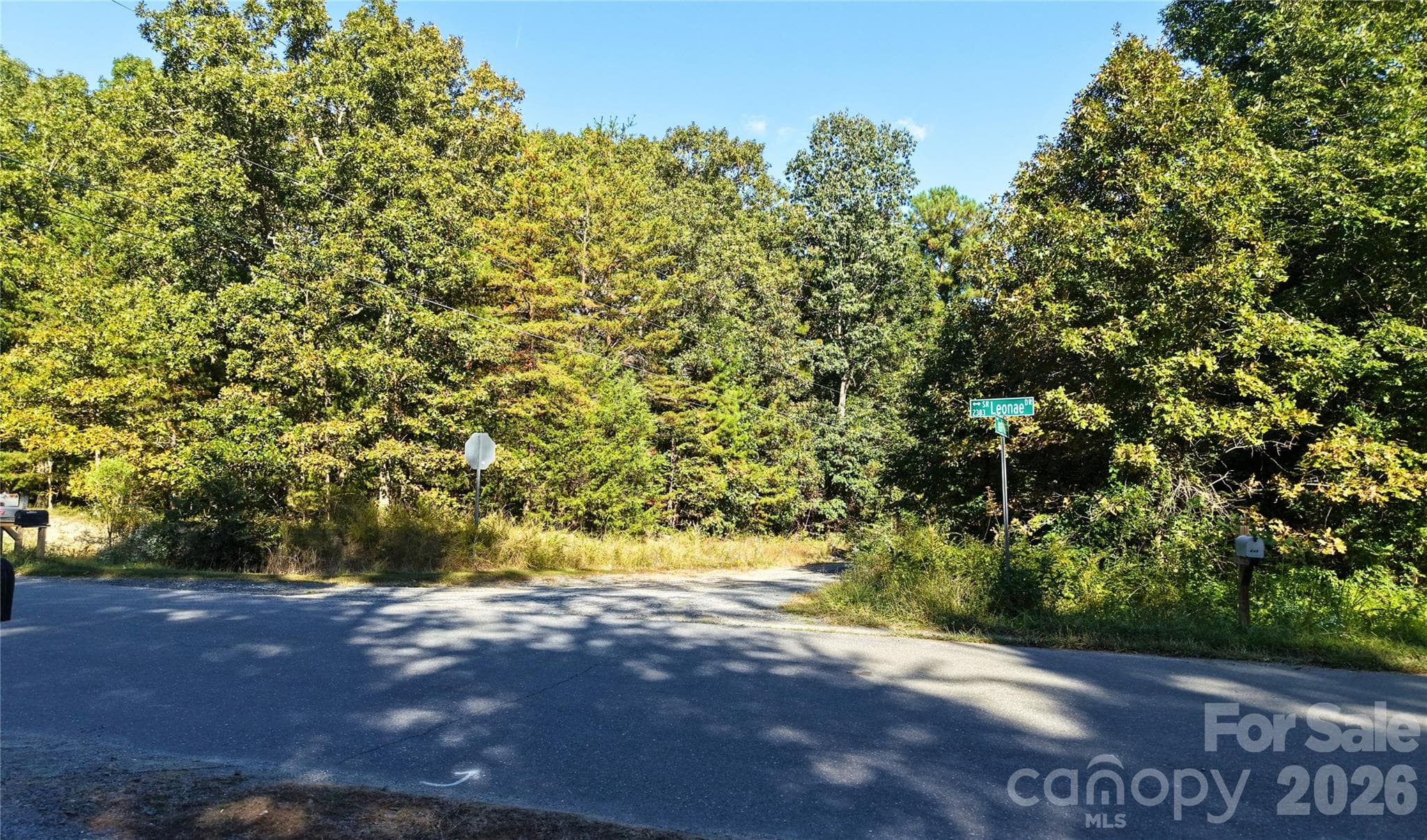 Ground view of the paved neighborhood road near the land in Forest Park, Randleman NC. - 00-00 Fourth Park, Randleman