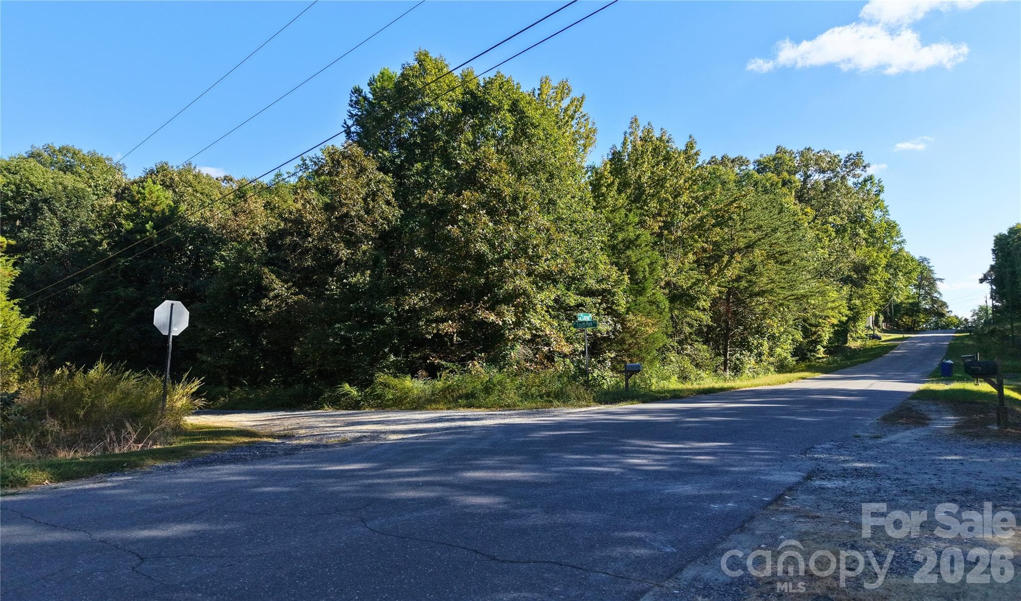 Paved road with overhead power lines near the land in Forest Park. Confirm service with the power company. - 00-00 Fourth Park, Randleman
