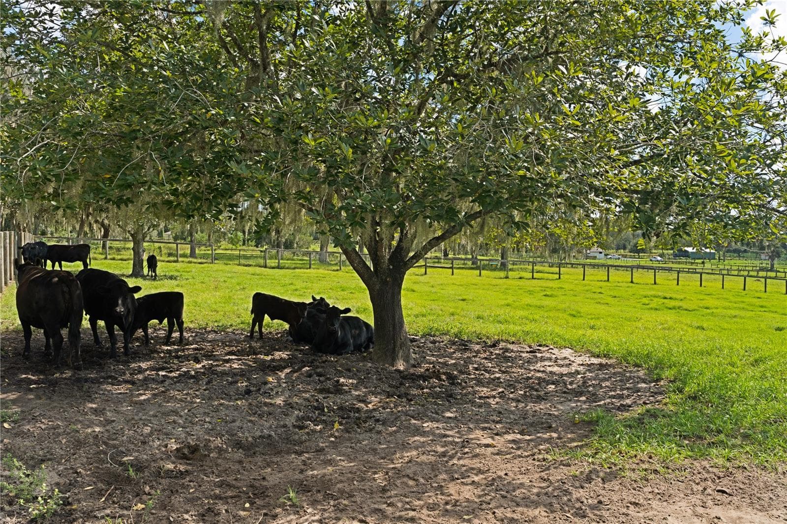 Farm - 9498 NW 60TH AVE, OCALA