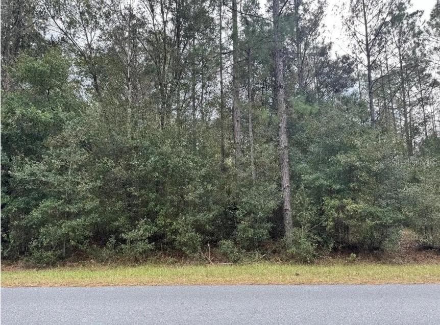 Land at 00 SW 36 AVE, OCALA, photo 2 of 2