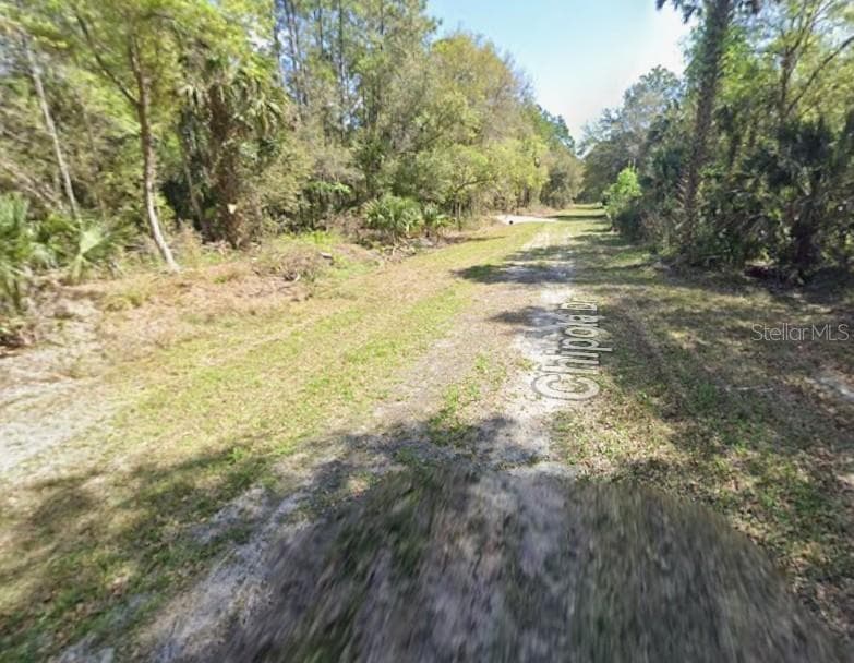Land at 112 CHIPOLA DR, GEORGETOWN, photo 2 of 10