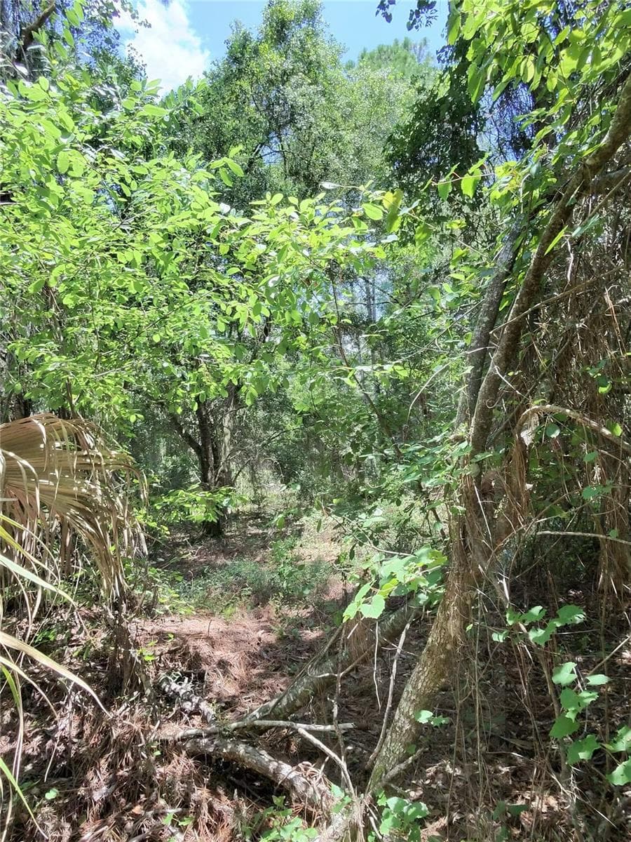 Land at 112 CHIPOLA DR, GEORGETOWN, photo 3 of 10