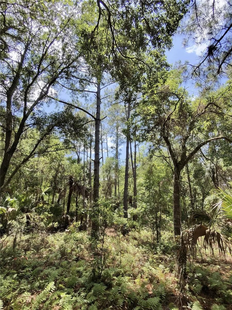 Land at 112 CHIPOLA DR, GEORGETOWN, photo 4 of 10