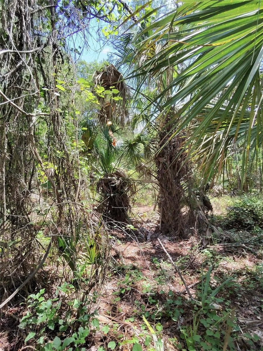 Land at 112 CHIPOLA DR, GEORGETOWN, photo 5 of 10