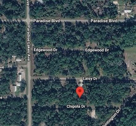 Land at 112 CHIPOLA DR, GEORGETOWN, photo 7 of 10