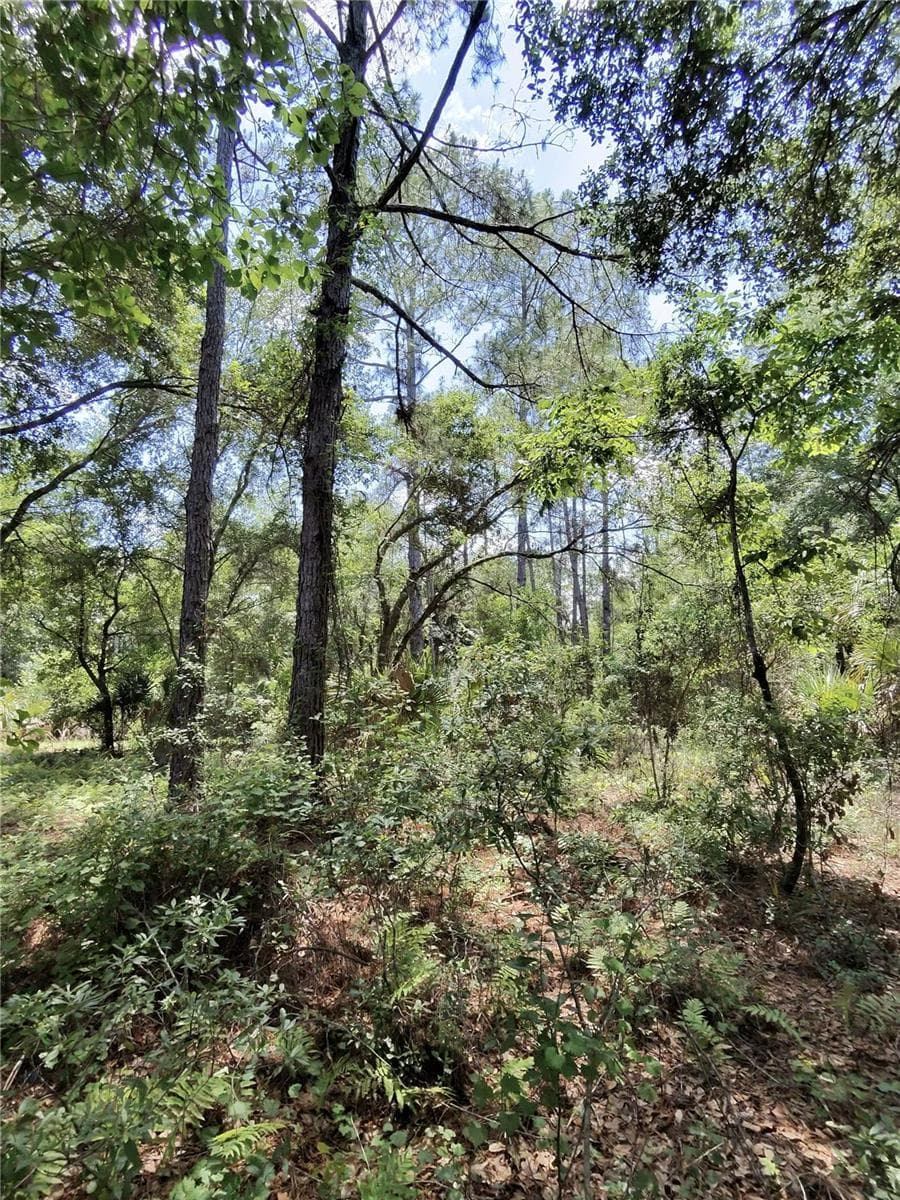 Land at 112 CHIPOLA DR, GEORGETOWN, photo 9 of 10
