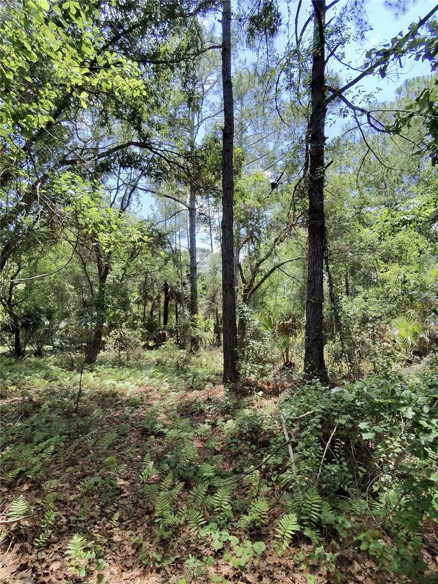 Land at 112 CHIPOLA DR, GEORGETOWN, photo 10 of 10