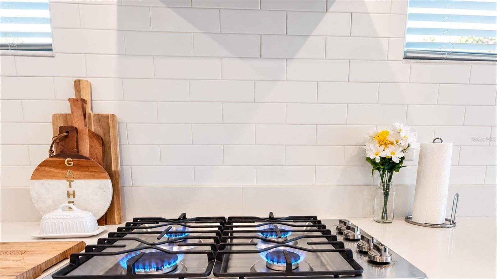 Gas Stove - 21481 SNOWY ORCHID TER, LAND O LAKES